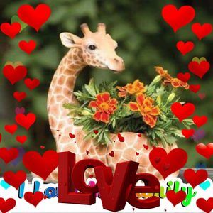 Meet your Posher, Kay